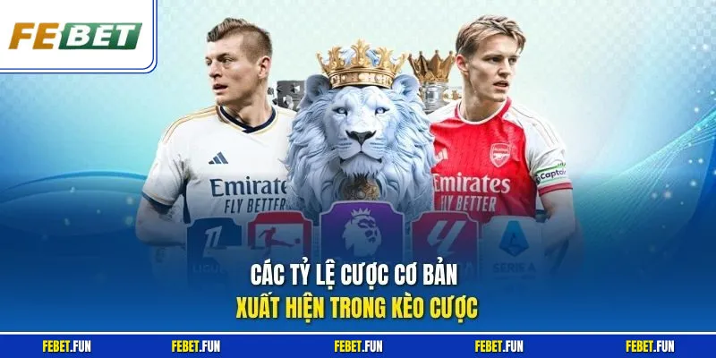 Các tỷ lệ cược cơ bản xuất hiện trong kèo cược
