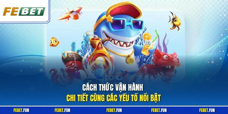 Cách thức vận hành chi tiết cùng các yếu tố nổi bật