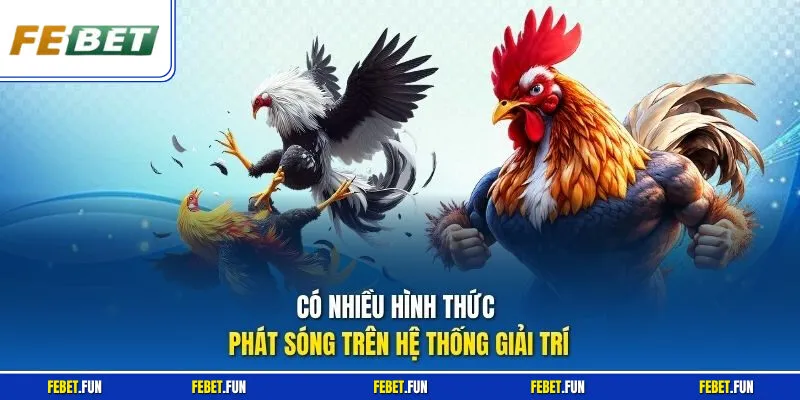 Có nhiều hình thức phát sóng trên hệ thống giải trí