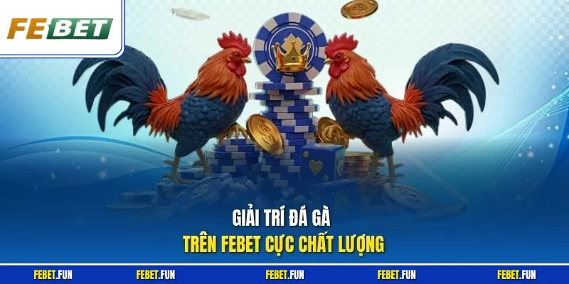 Giải trí đá gà trên Febet cực chất lượng