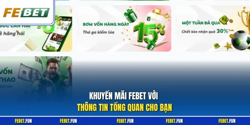 Khuyến mãi Febet với thông tin tổng quan cho bạn
