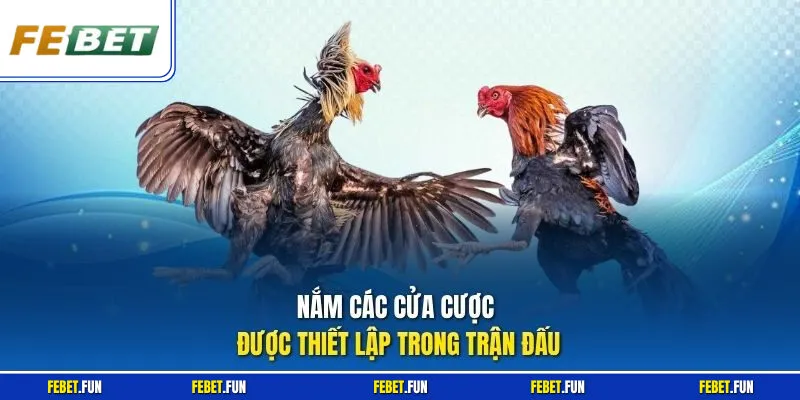 Nắm các cửa cược được thiết lập trong trận đấu