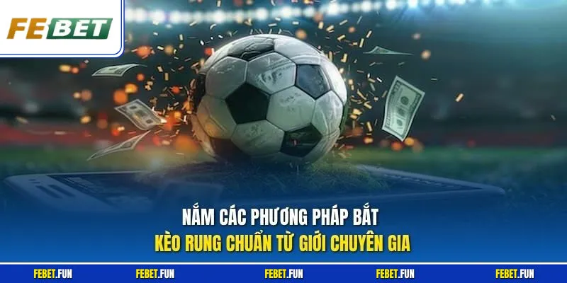 Nắm các phương pháp bắt kèo rung chuẩn từ giới chuyên gia