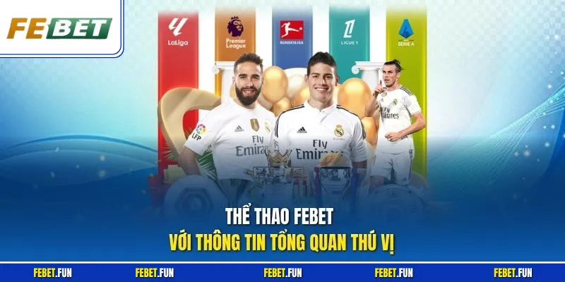 Thể thao Febet với thông tin tổng quan thú vị